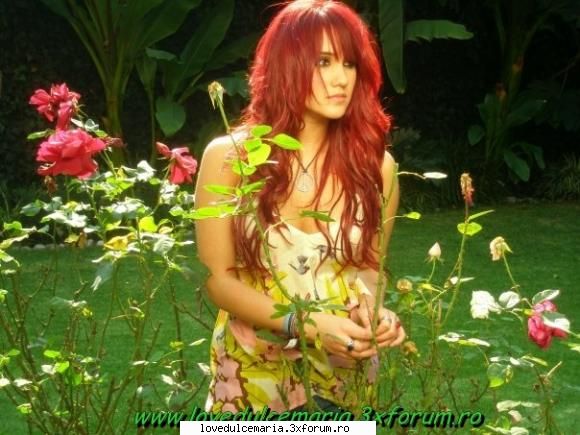 dul dulce maria